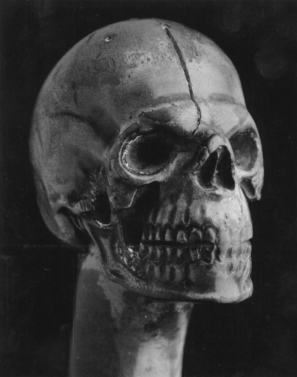 Skull Walking Cane by Roger Mapplethorpe 