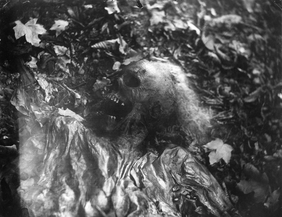 Untitled: Body Farm #8 by Sally Mann 
