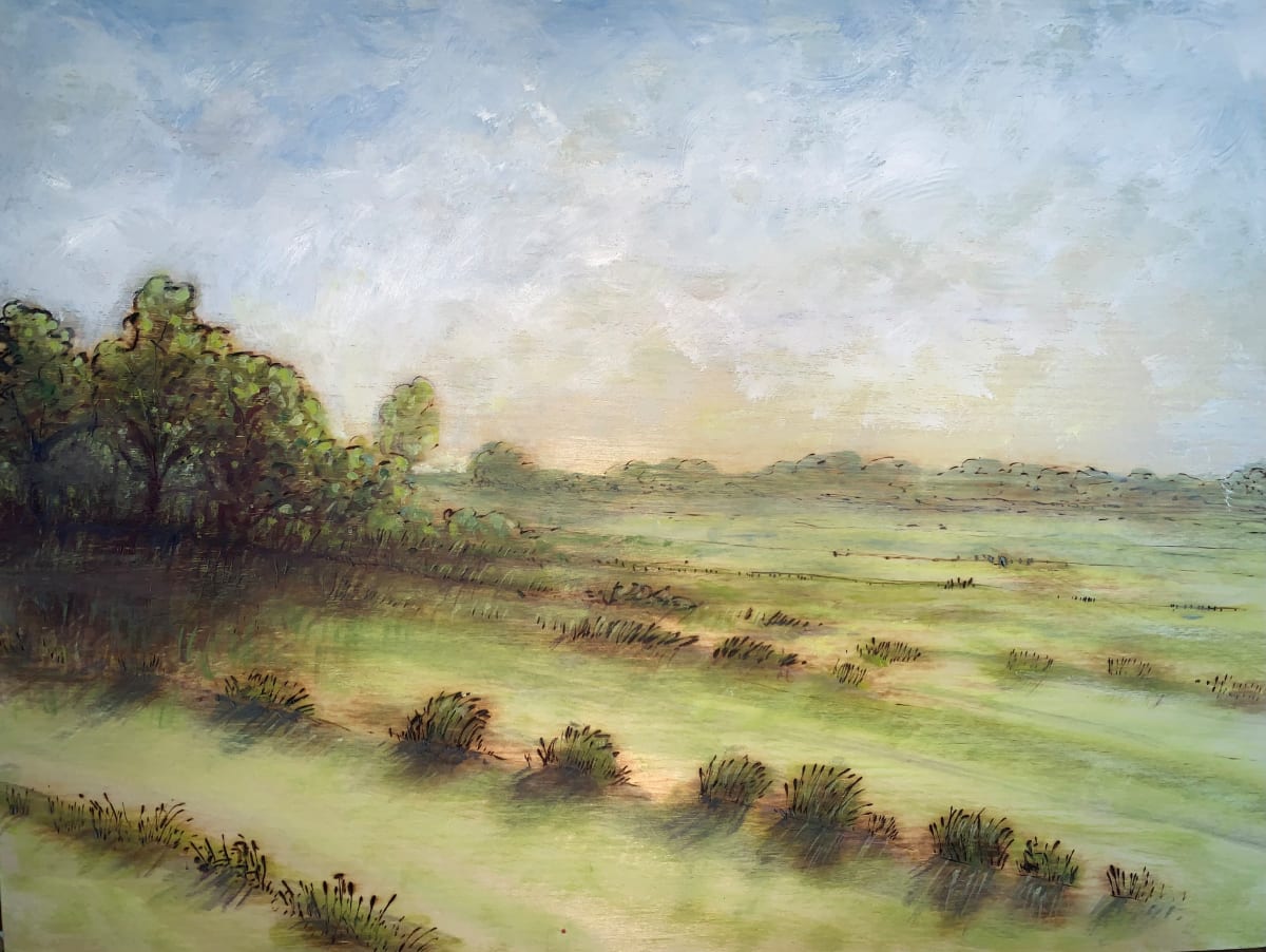 Fields at Dawn by David Diethelm 
