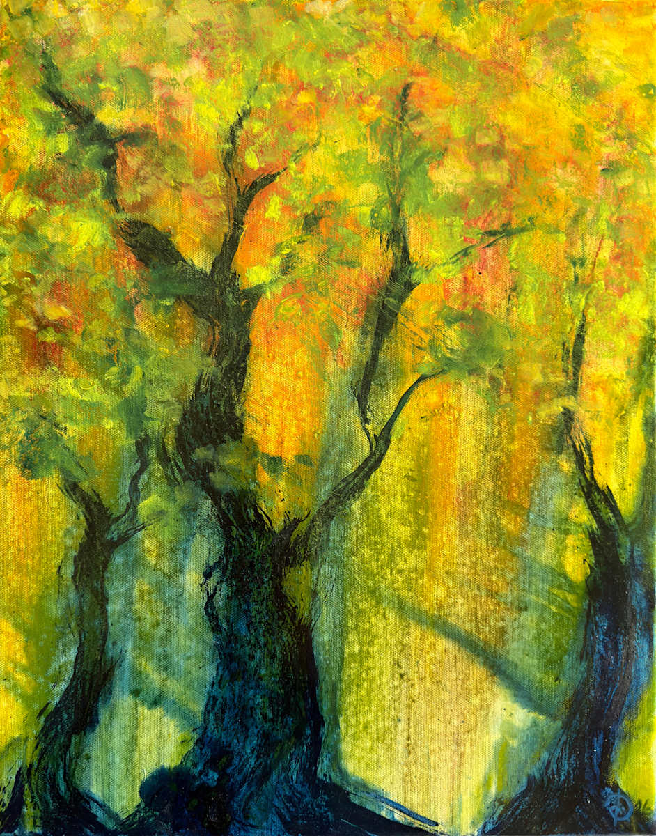 Golden Hour in the Old Forest by David Diethelm, Image 1.