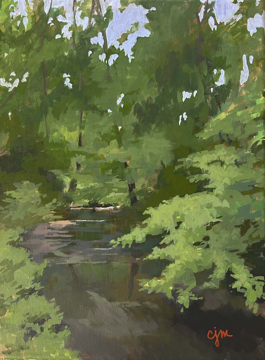 MBSP Creek by Claudia Morgan, Image 1.
