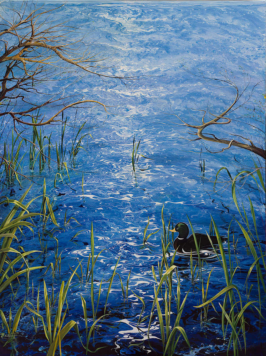 Progress shot of First Duck by elva hook, Image 1.
