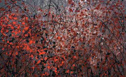 Aliziran Brush by elva hook  Image: Aliziran Brush