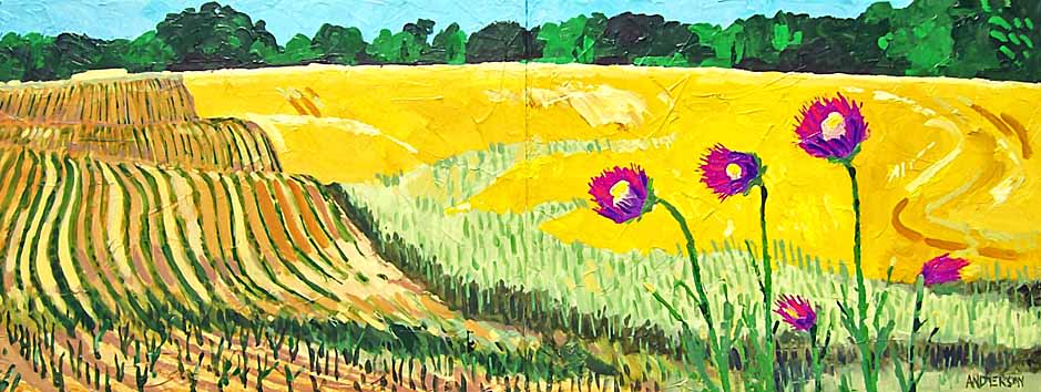 Thistles And Fields by Michael Anderson 