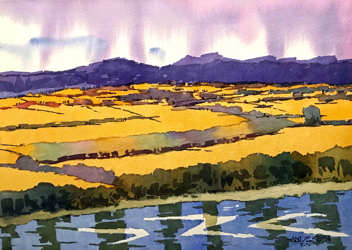 Illinois Bottom Land 