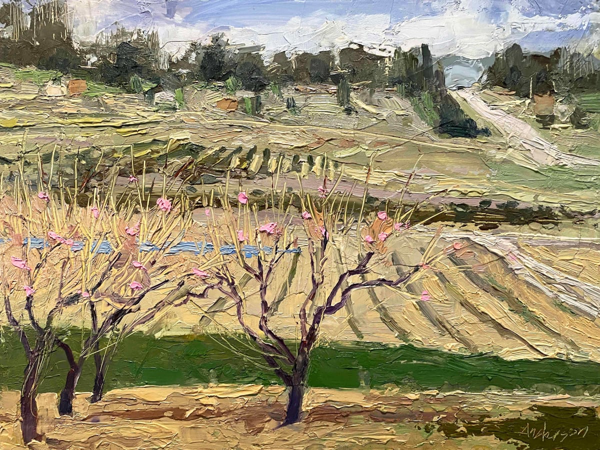 View From Eckert's Orchard, Early Spring by Michael Anderson 