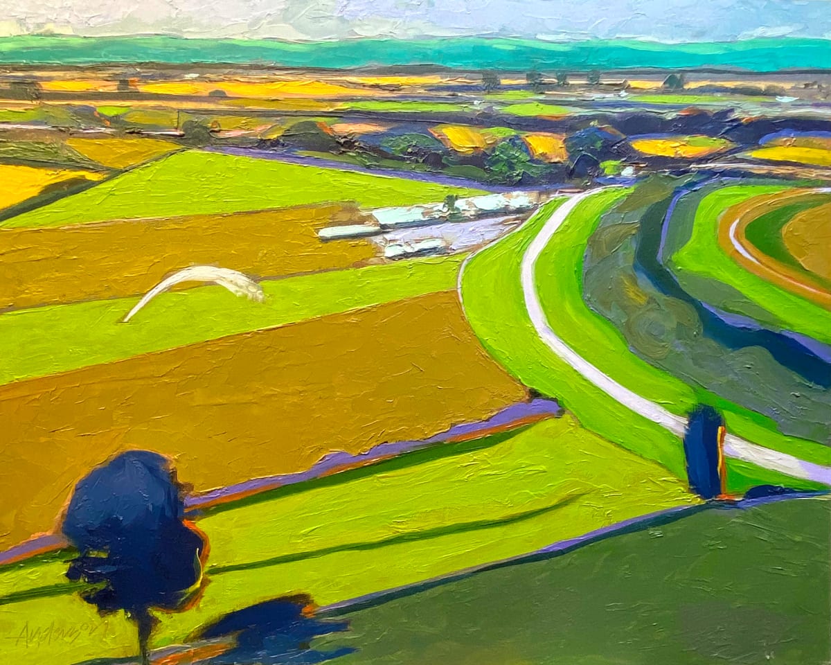 Sod Farm by Michael Anderson 