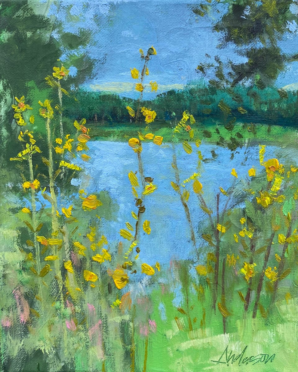 Wild Daisies, Early August by Michael Anderson 