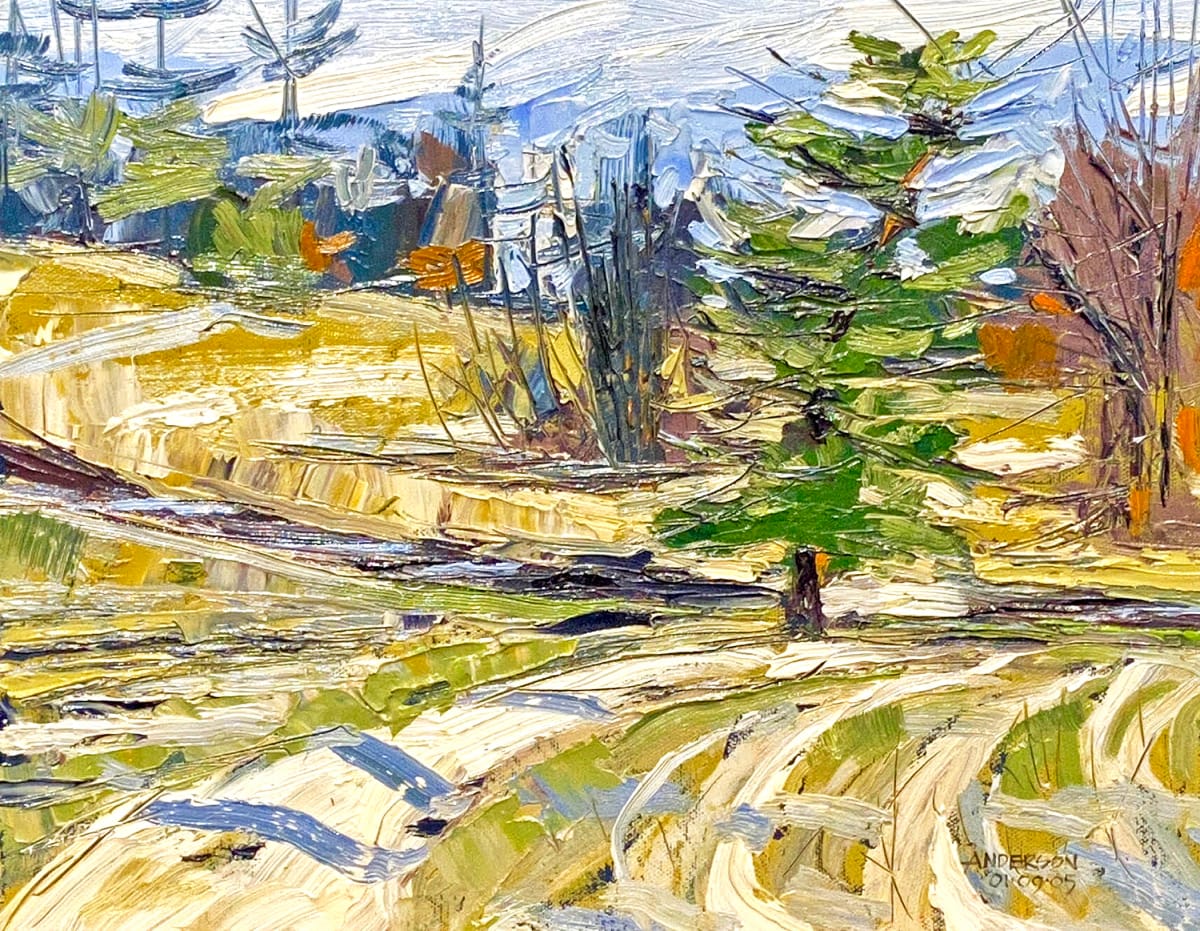 January Thaw by Michael Anderson 