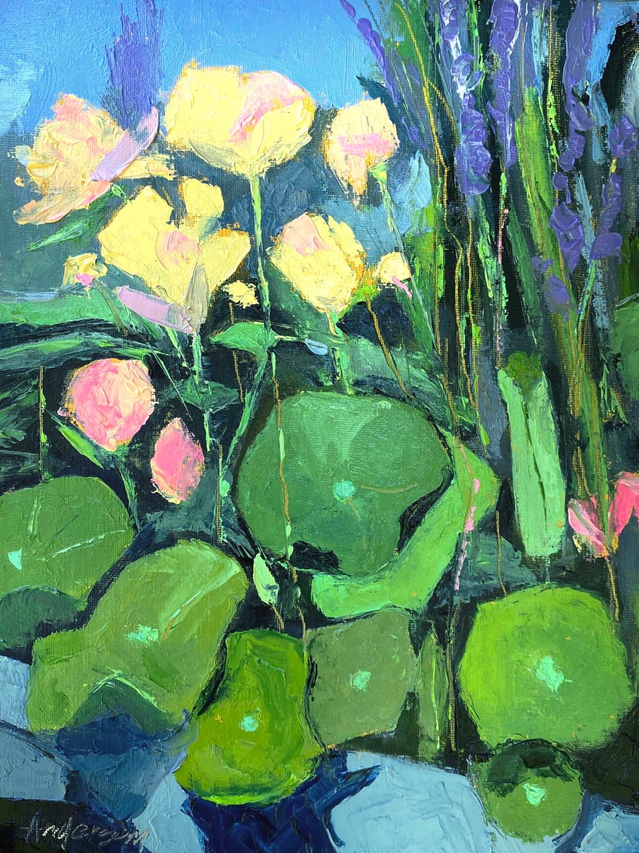 Lotus Blossoms, June by Michael Anderson 