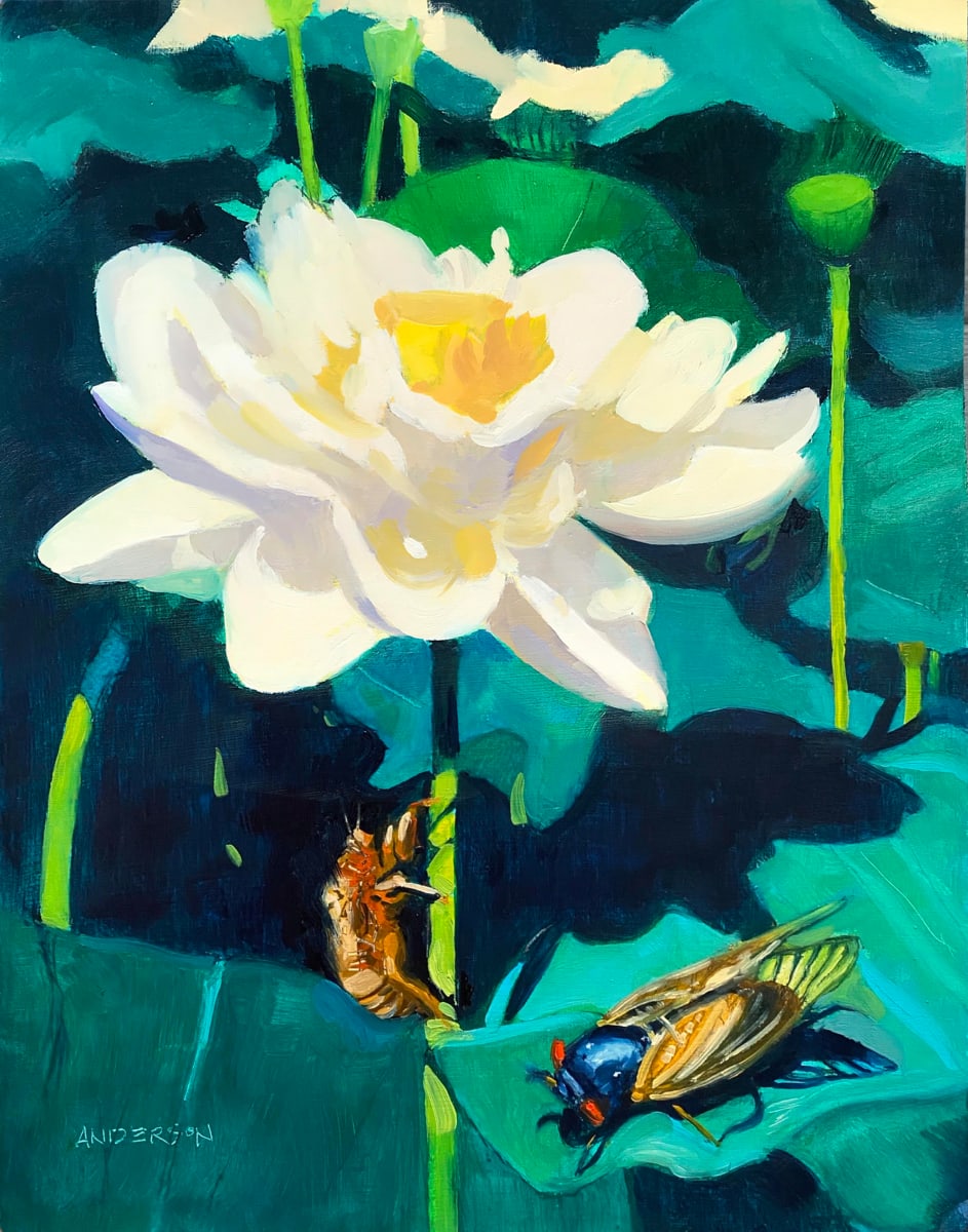 Lotus Blossom And Cicada by Michael Anderson 