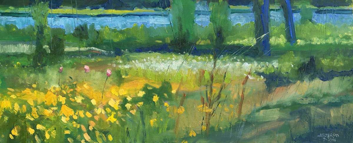 Wild Flowers, Riverlands by Michael Anderson 
