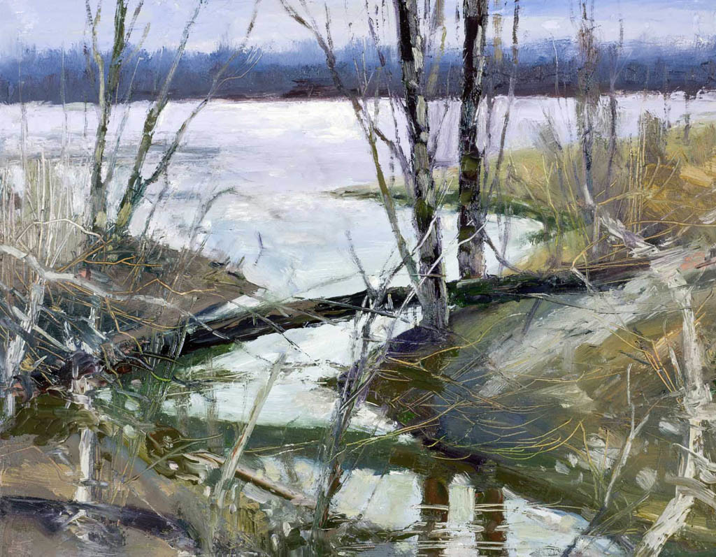 River Bank, Cliff Cave Park, 03/12/2011 by Michael Anderson 