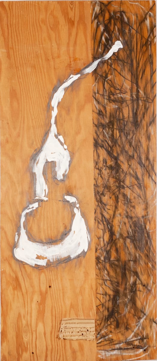 Example 2a,b, Image 1.