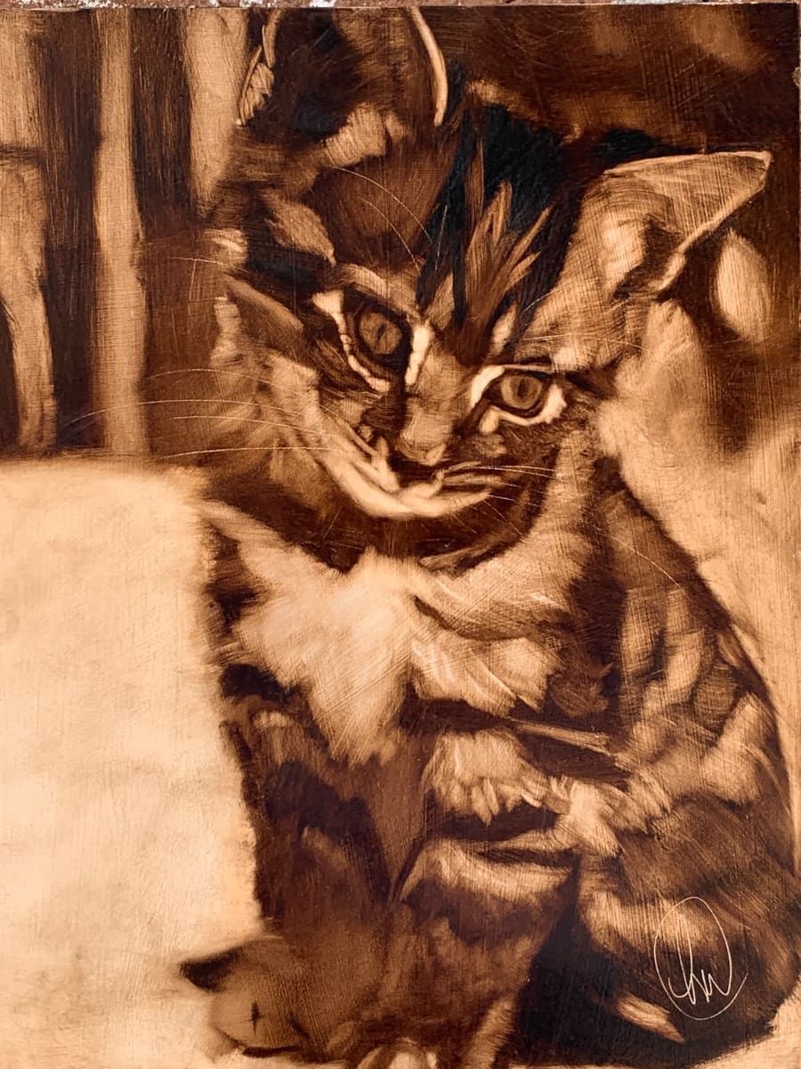 Cute As A Kitten, Image 1.