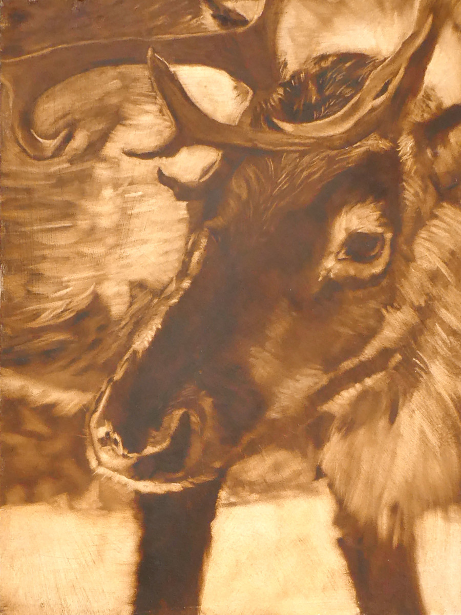 Blitzen the Strong Silent Type by lesliemillerfineart@icloud.com 