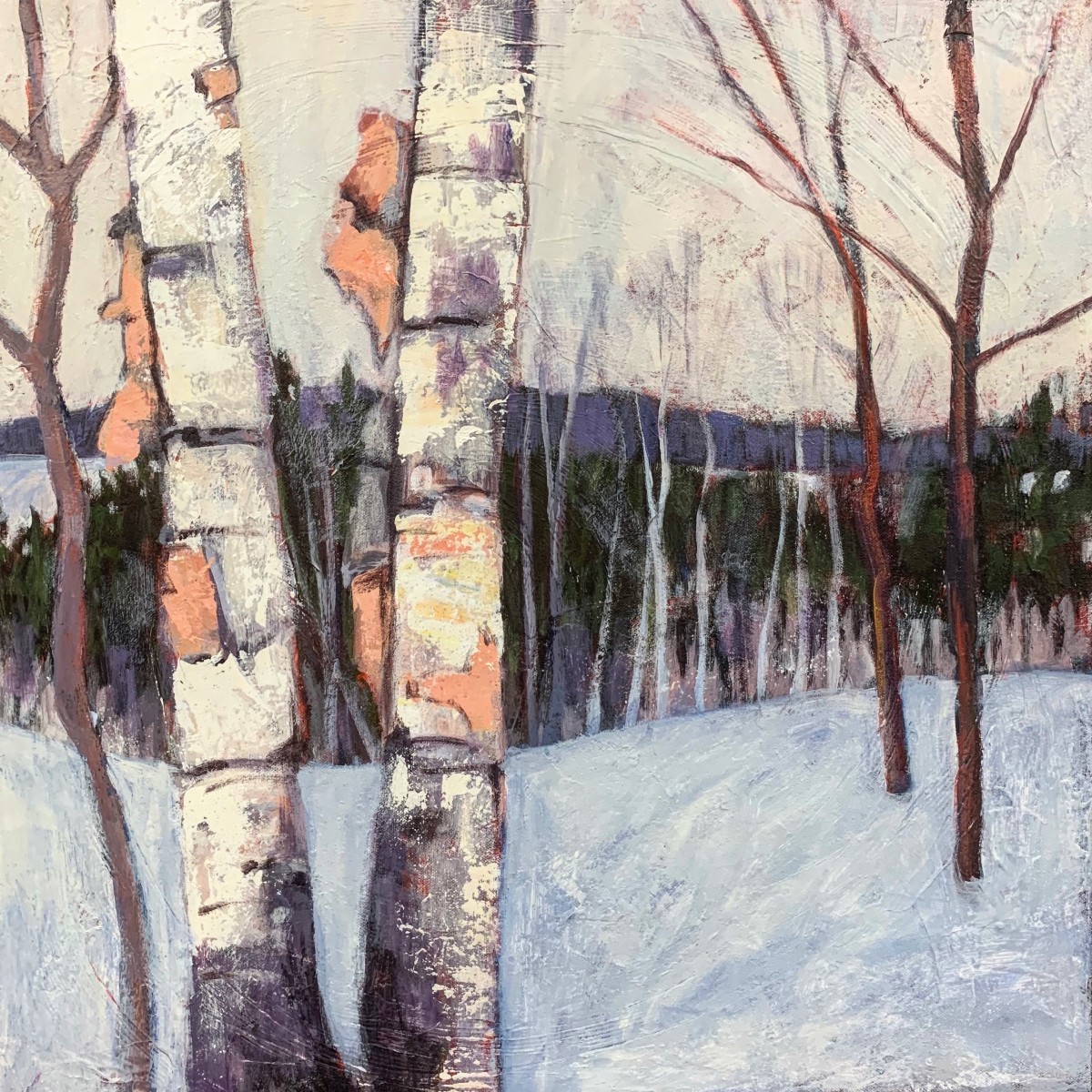 Twist of Birch Bark by Holly Friesen 