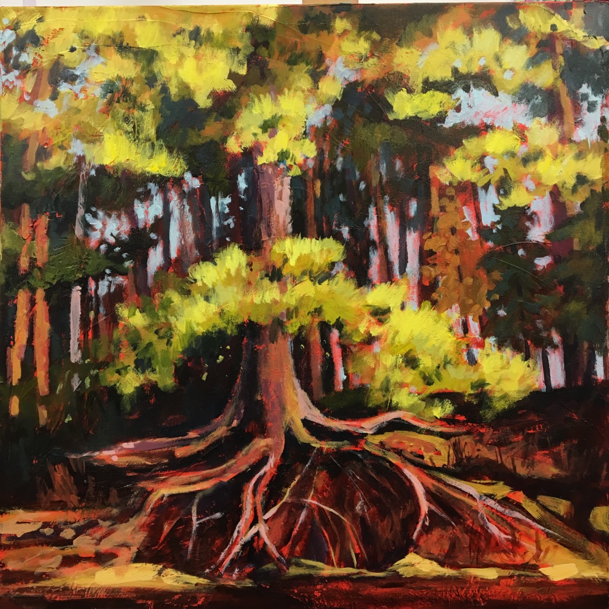 Consider This Tree by Holly Friesen 