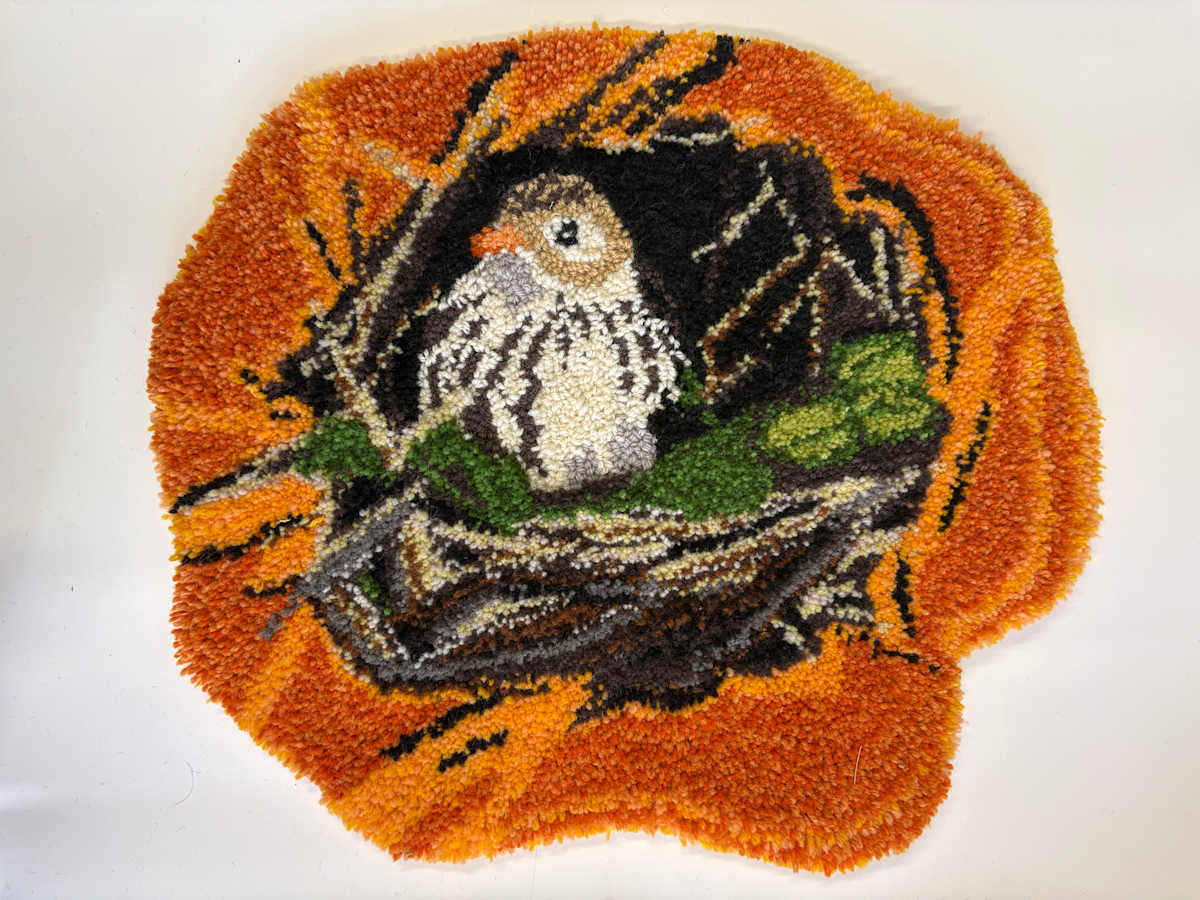 Inside the Nest by Holly Friesen, Image 1.