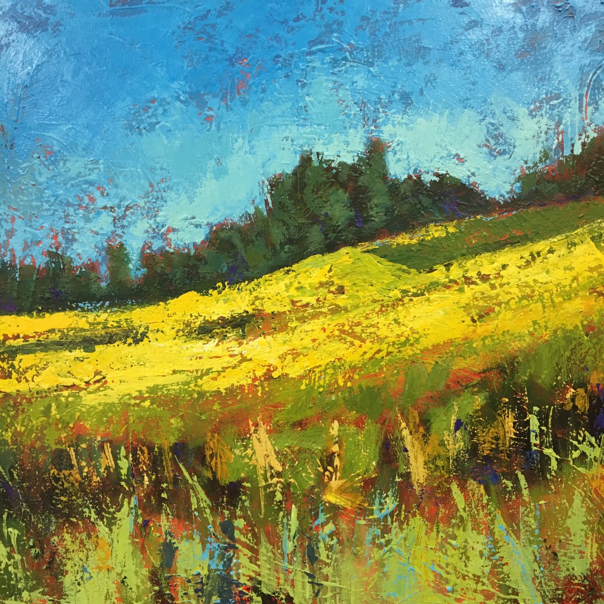 Sunlit (Hilltop) by Holly Friesen 