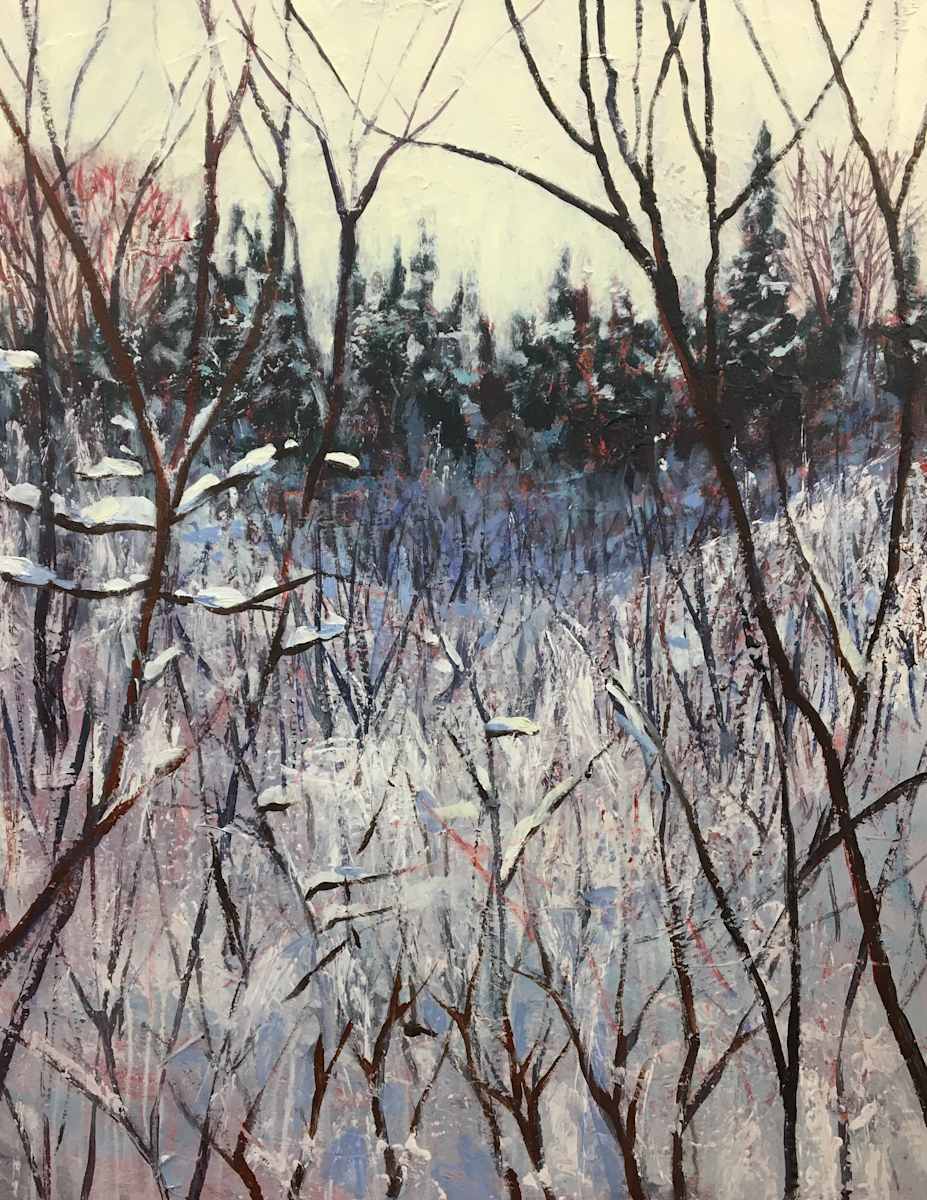 Wildly Beyond Control by Holly Friesen, Image 1.