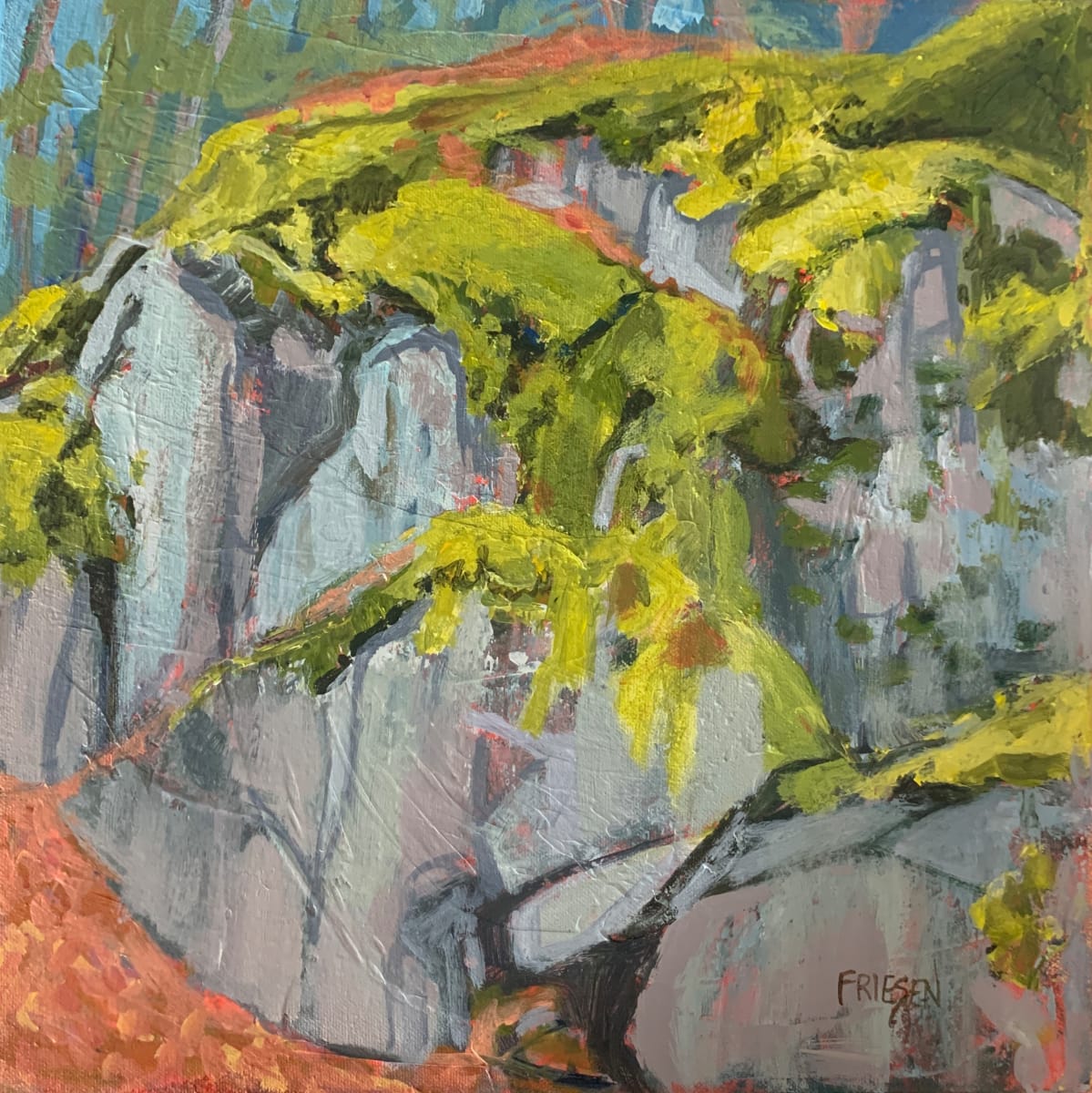 Rock Study by Holly Friesen 