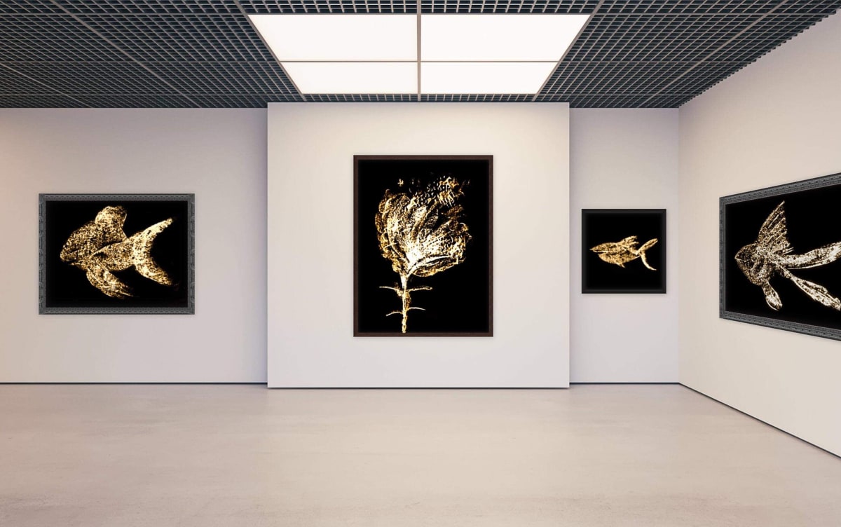 Staged-X by Don S., Image 15.