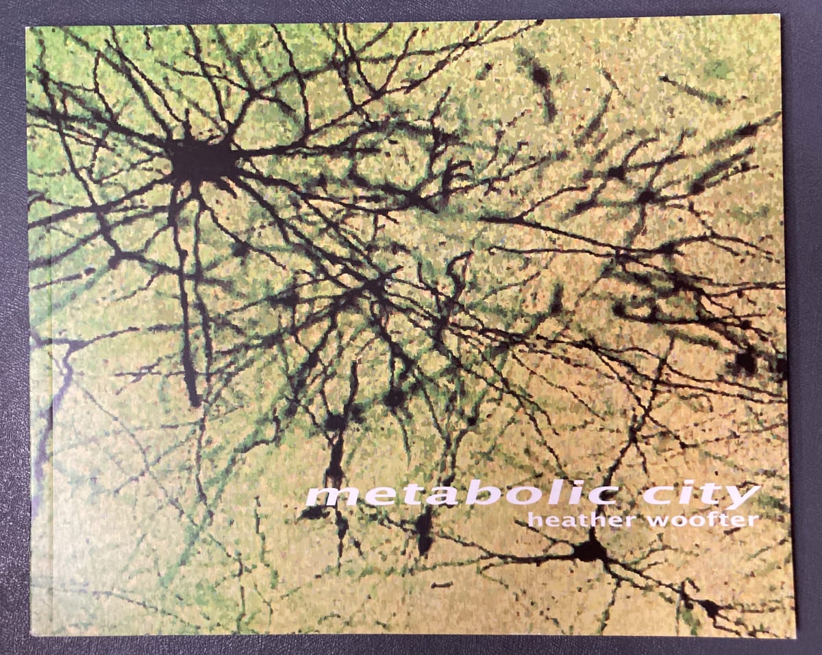 Metabolic City by Heather Woofter 