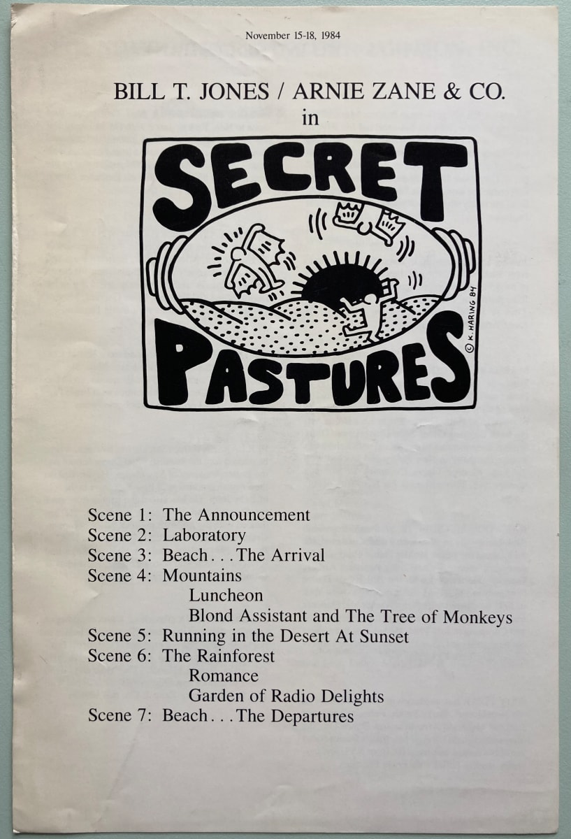 Secret Pastures by Keith Haring 