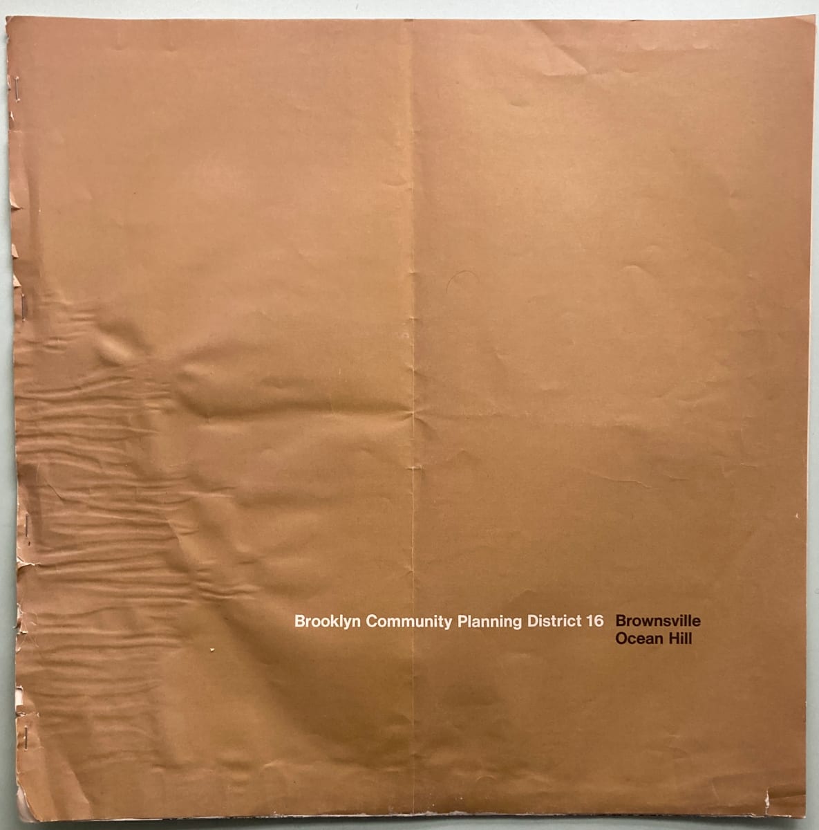 Brownsville/Ocean Hill by Brooklyn Community Planning 