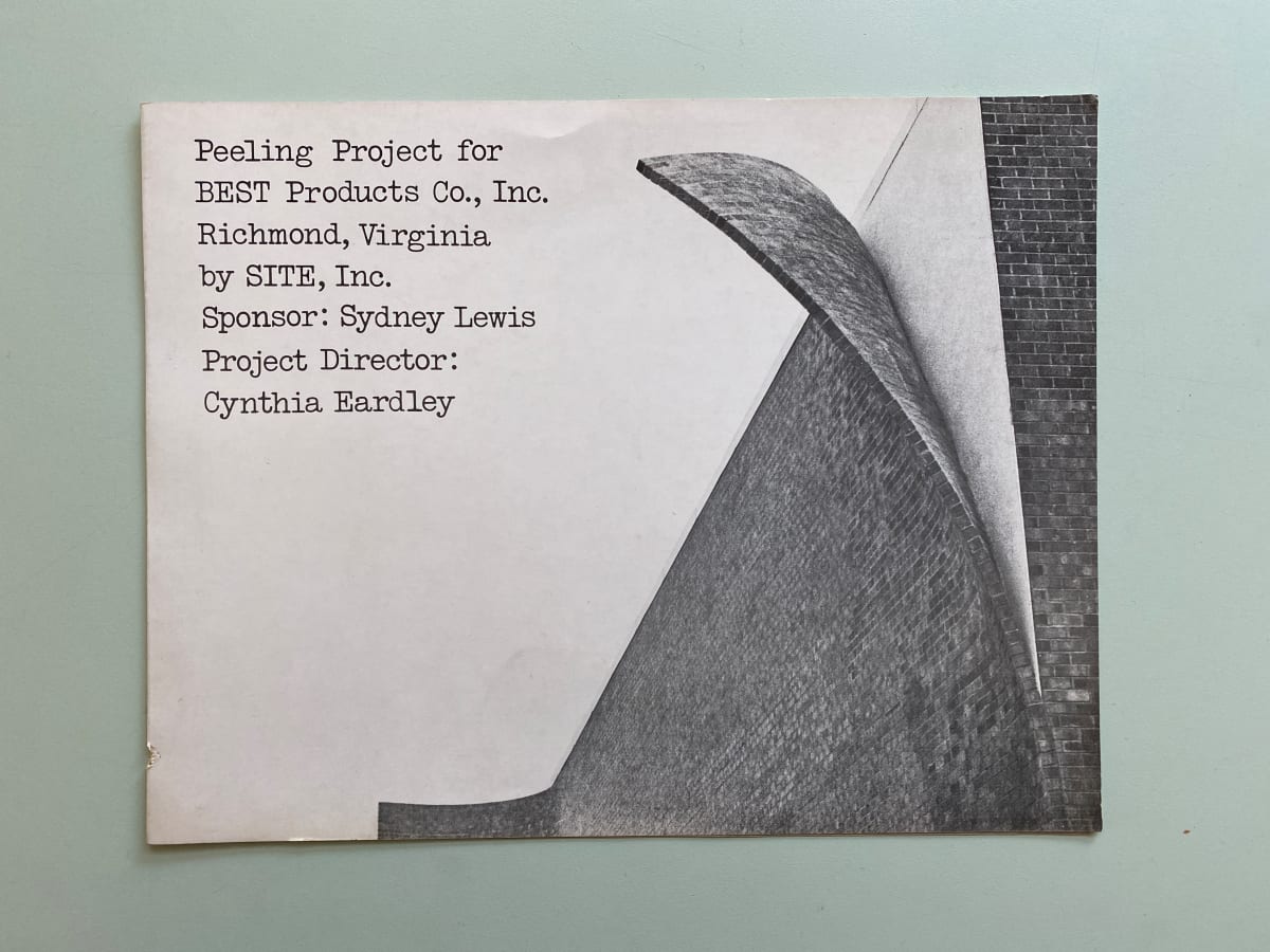 Peeling Project for BEST Products Co., Inc. by James Wines, Image 2.
