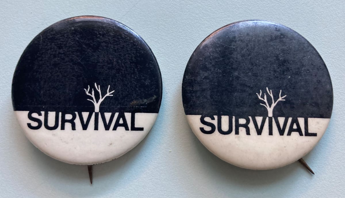2 Survival buttons by political campaign 
