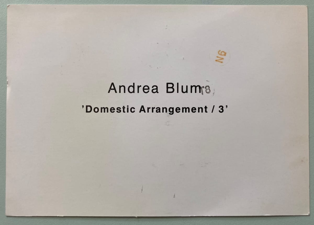 'Domestic Arrangement/3' Lumen Travo by Andrea Blum 