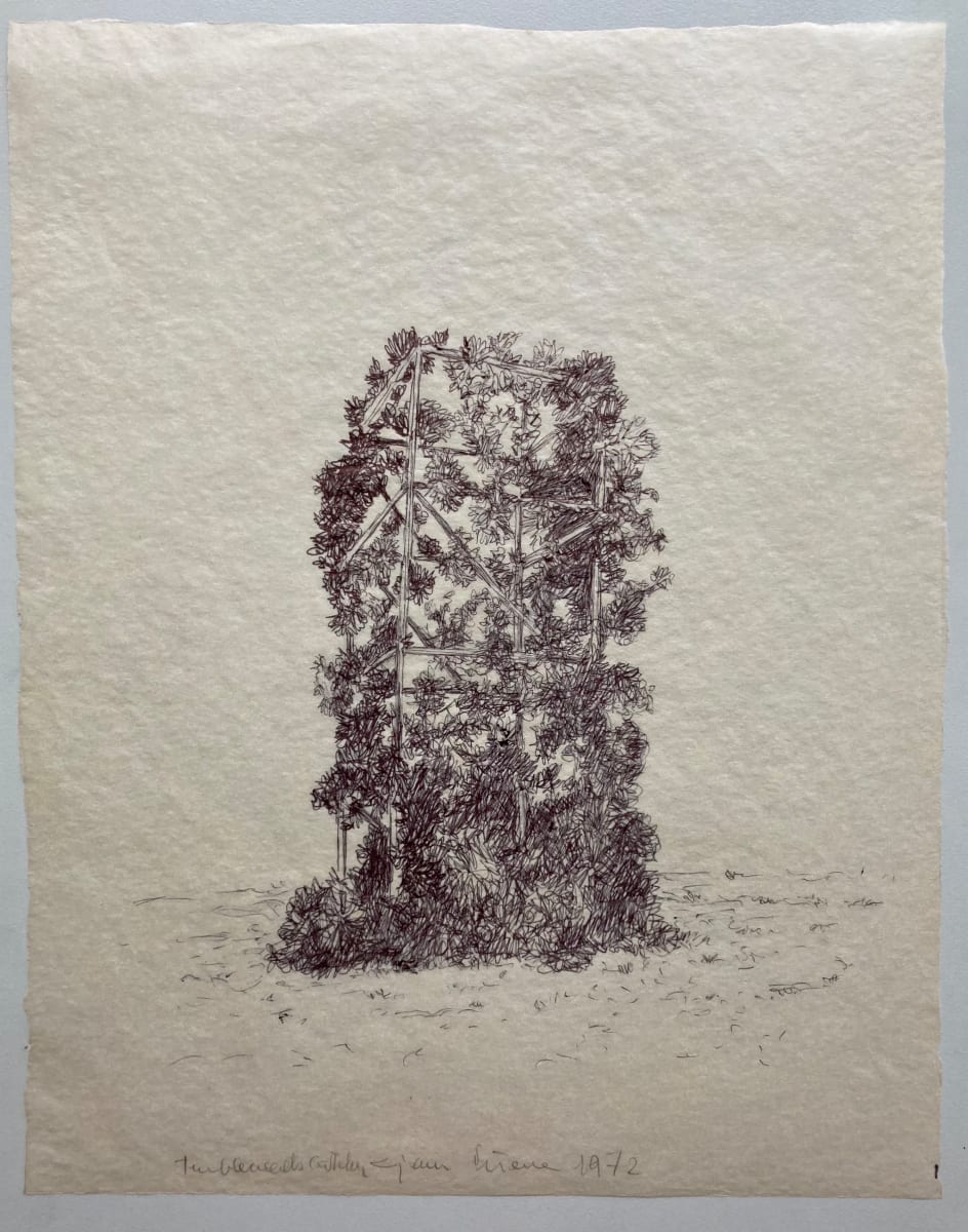 Tumbleweeds Catcher by Gianni Pettena, Image 1.