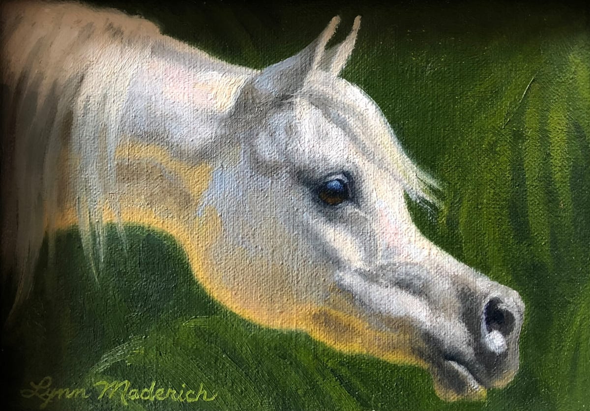 White Horse | Head Study by Lynn Maderich 