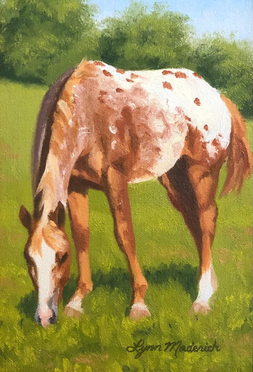 Horse Study by Lynn Maderich 