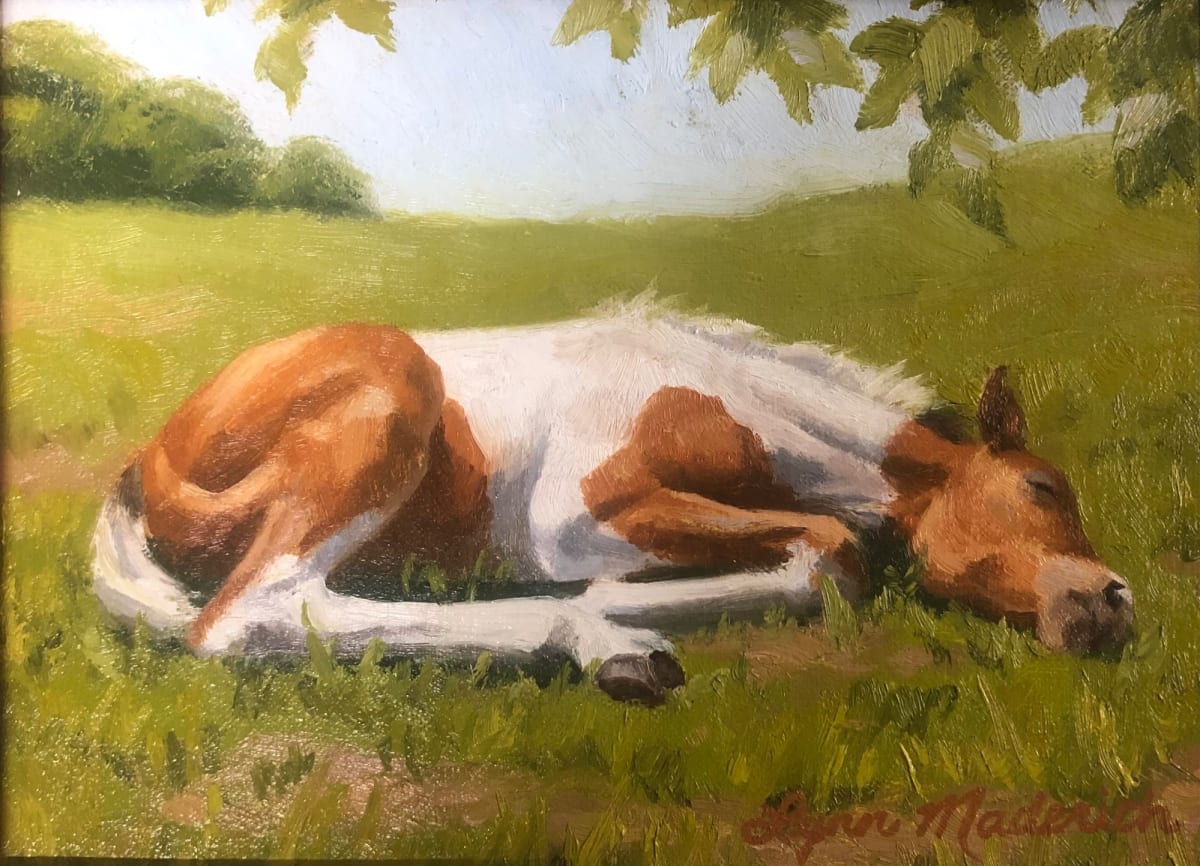 Brown and White Colt | Study by Lynn Maderich 