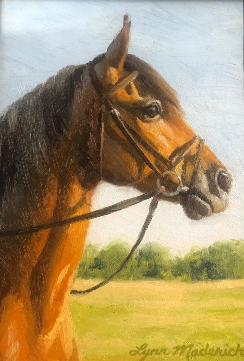 Study Horse Head by Lynn Maderich 