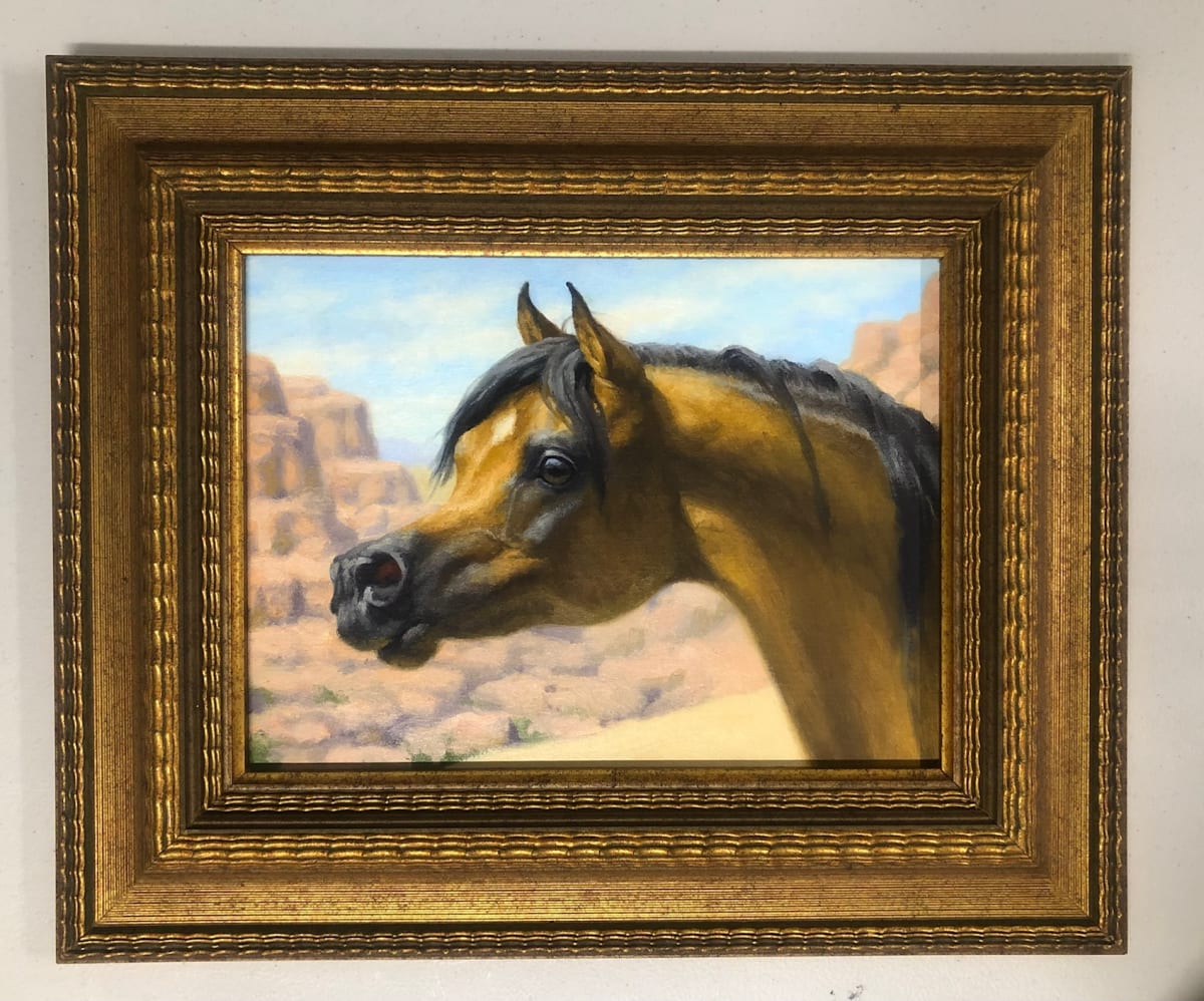 Horse Head | Study of the Desert by Lynn Maderich 