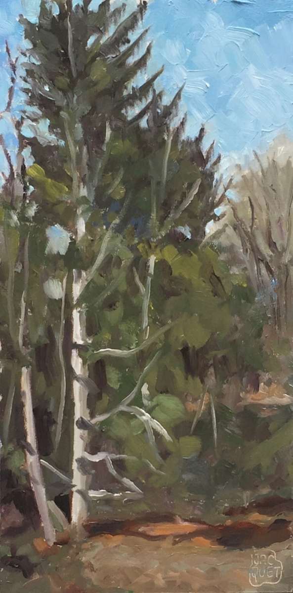 Tall Pine Trees by Jean-Pierre Jacquet, Image 1.