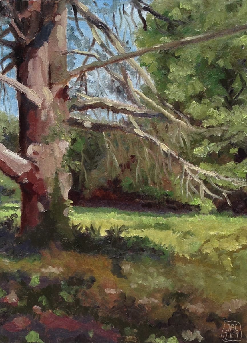 Red_Pine_dotvhh by Jean-Pierre Jacquet, Image 1.