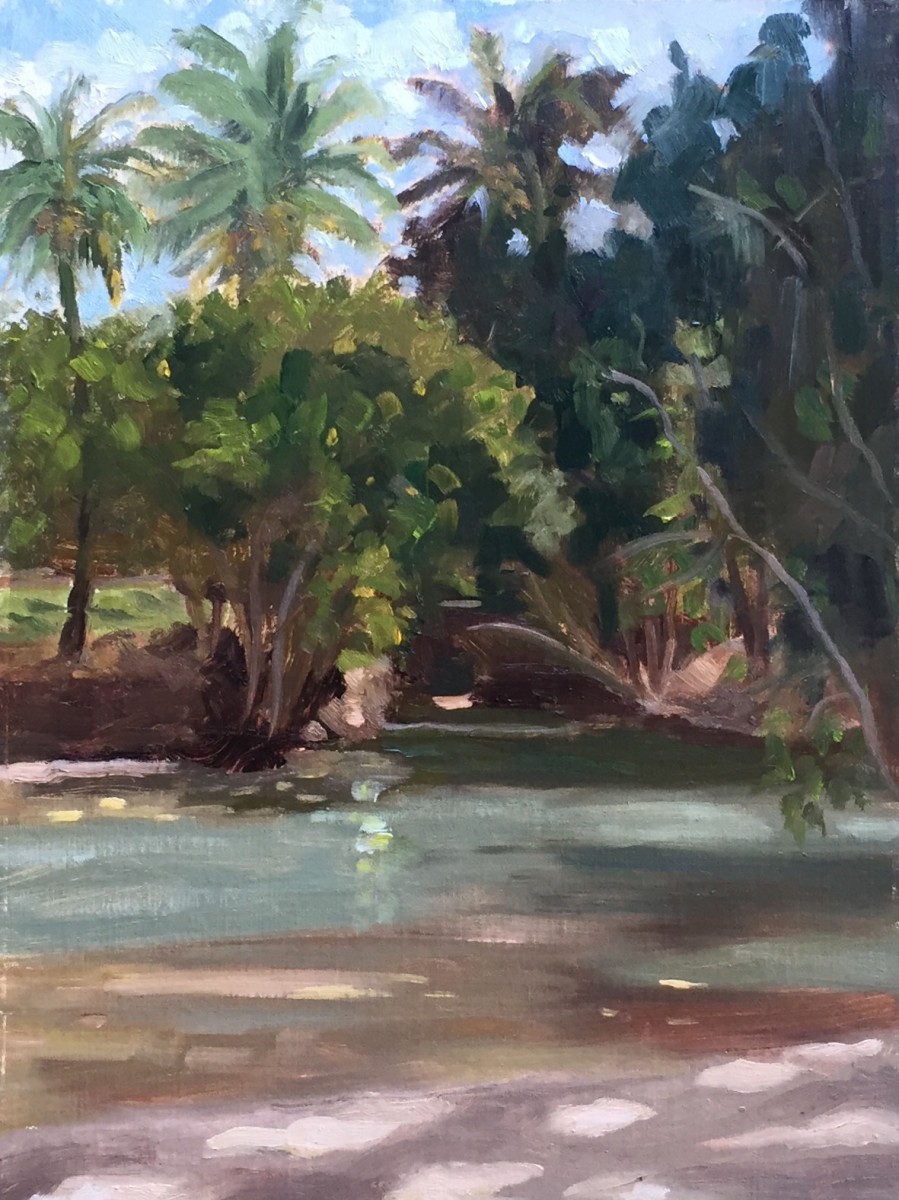 Lagoon, D.T. Fleming Beach, Maui by Jean-Pierre Jacquet 