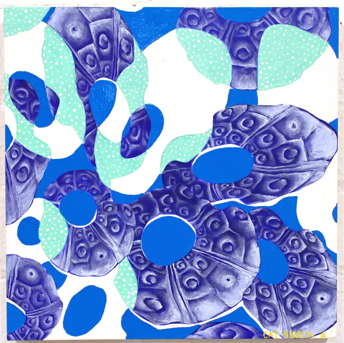 The Lily Pads He Sat On 