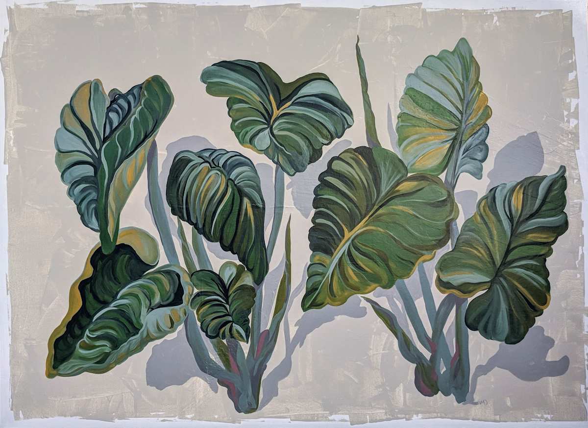 Elephant Ears to Hear 