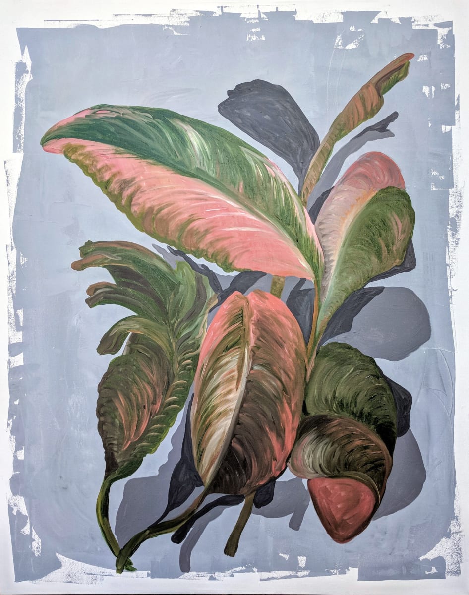 Bird of Calathea by Veronica Diament 