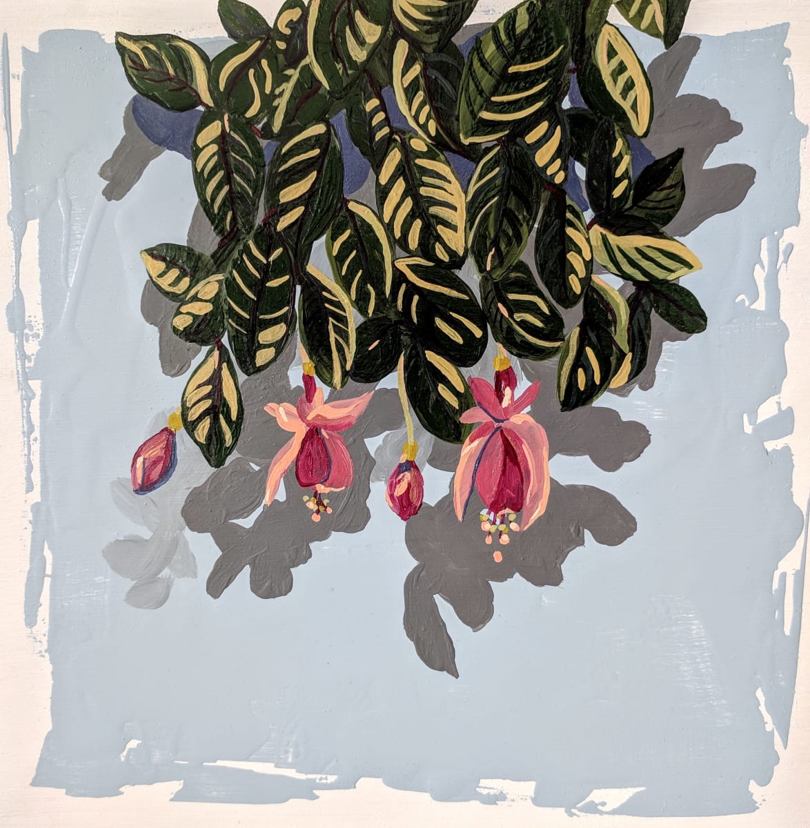 Bundles of Fuchsia 