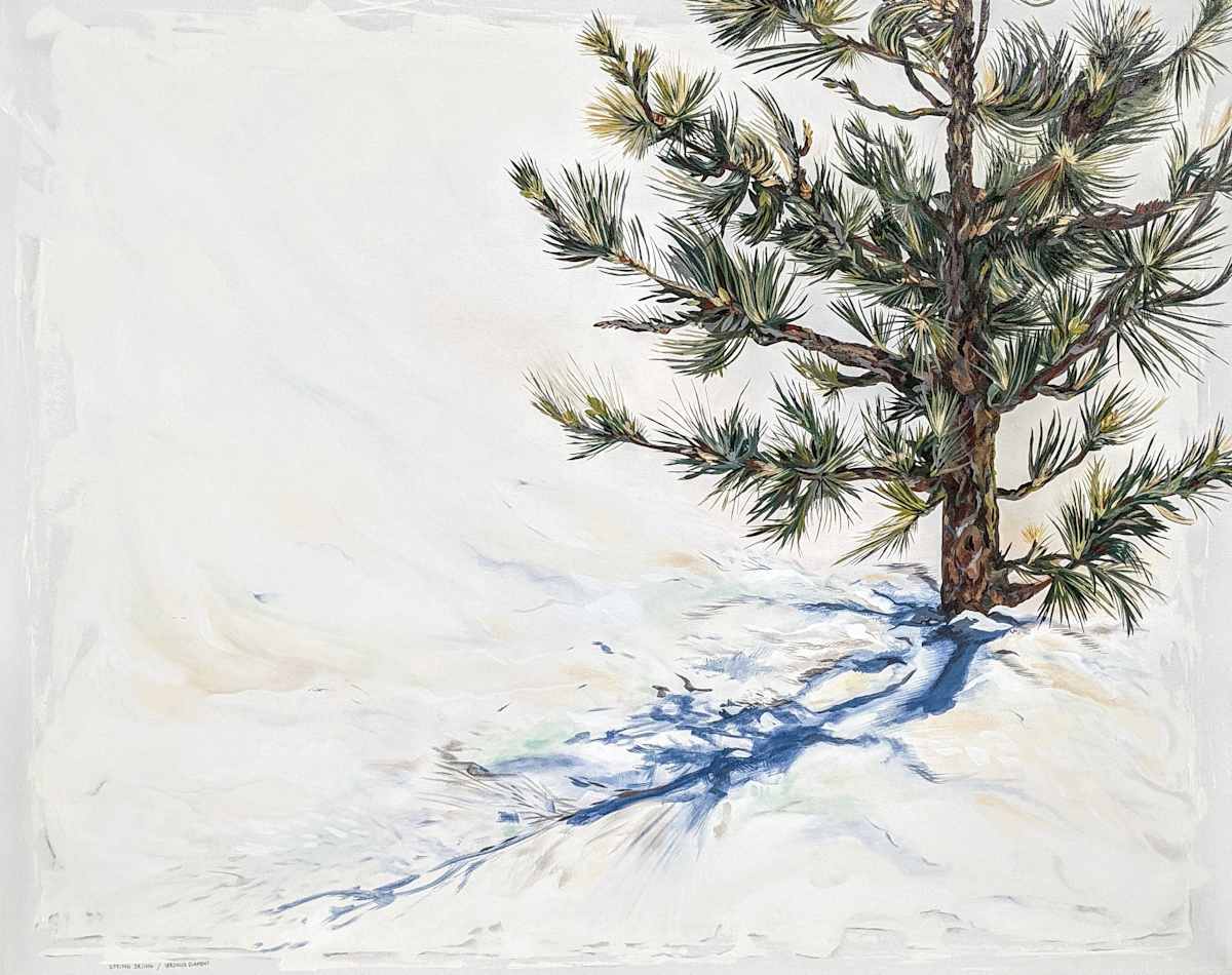 Spring Skiing by Veronica Diament 