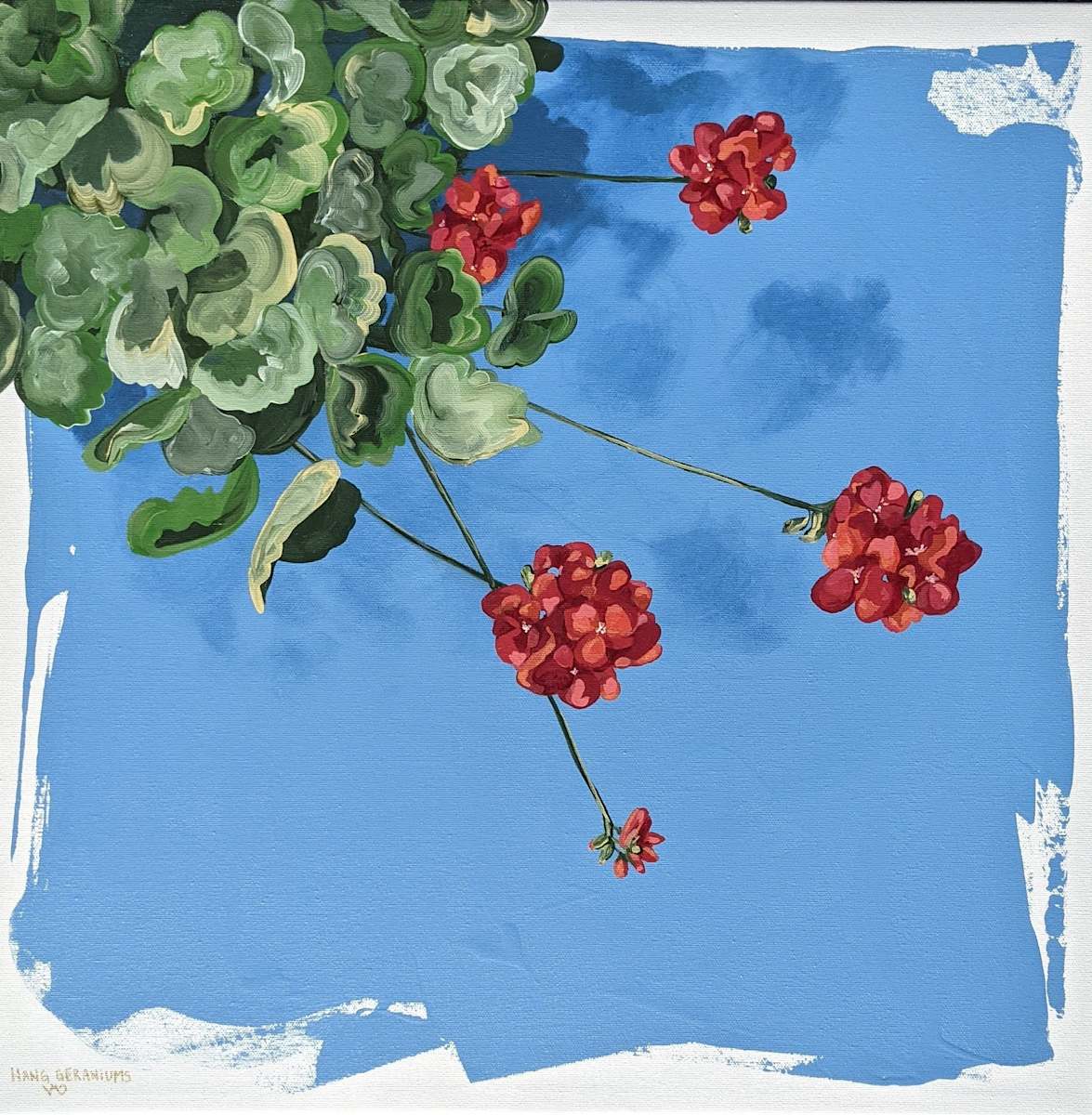 Hang Geraniums by Veronica Diament 