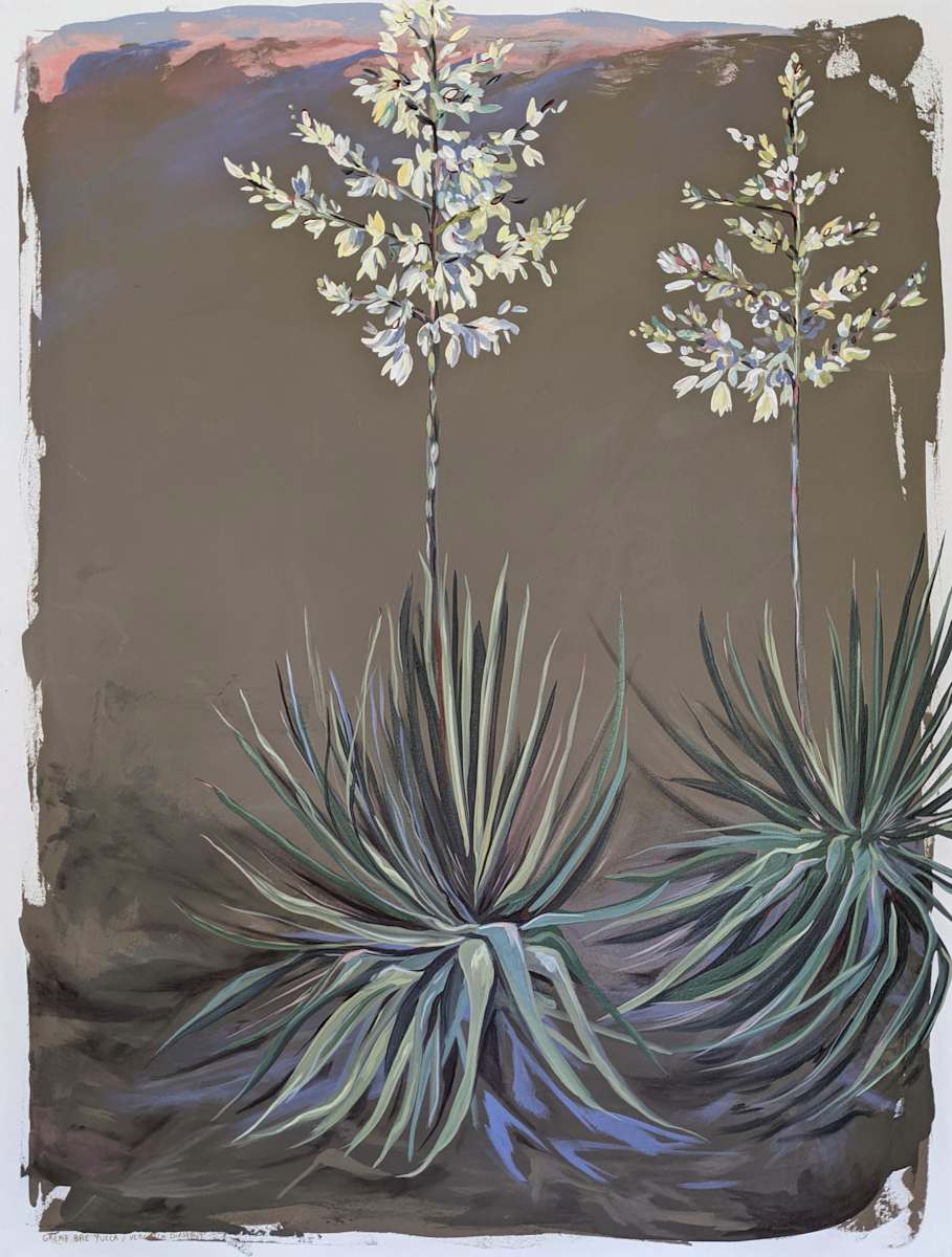 Great Bae Yucca by Veronica Diament 