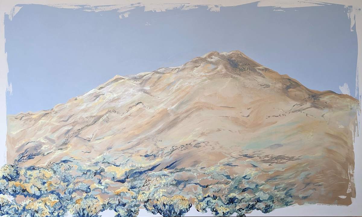 Rabbit Brush Foothills by Veronica Diament 